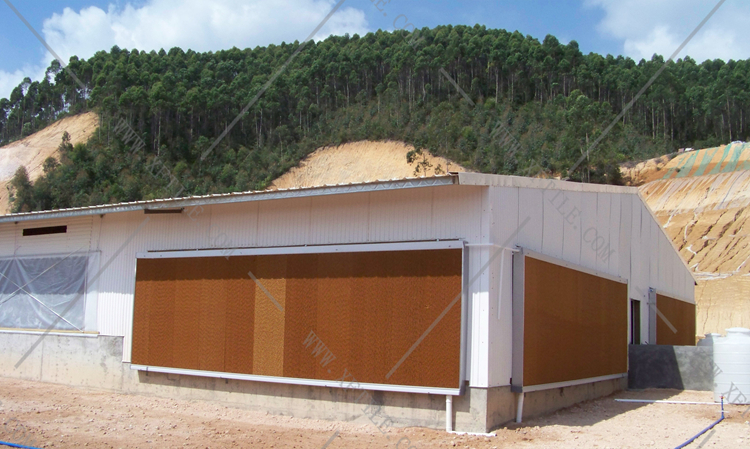 還在為廠房的墻體煩惱嗎?使用星發優質墻體廠房塑料瓦